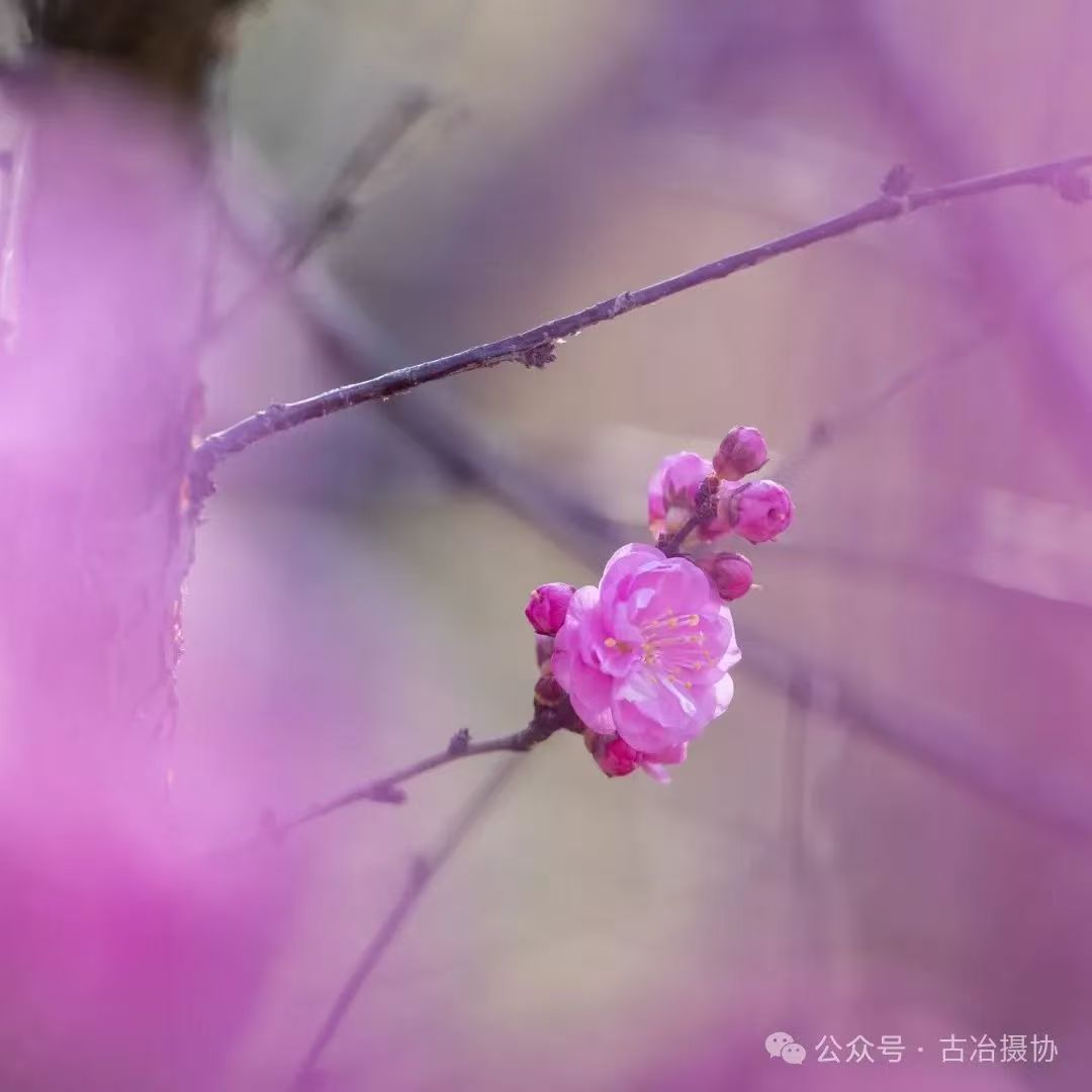 810b61d44f5f2dffcd3319db352b8a7.jpg