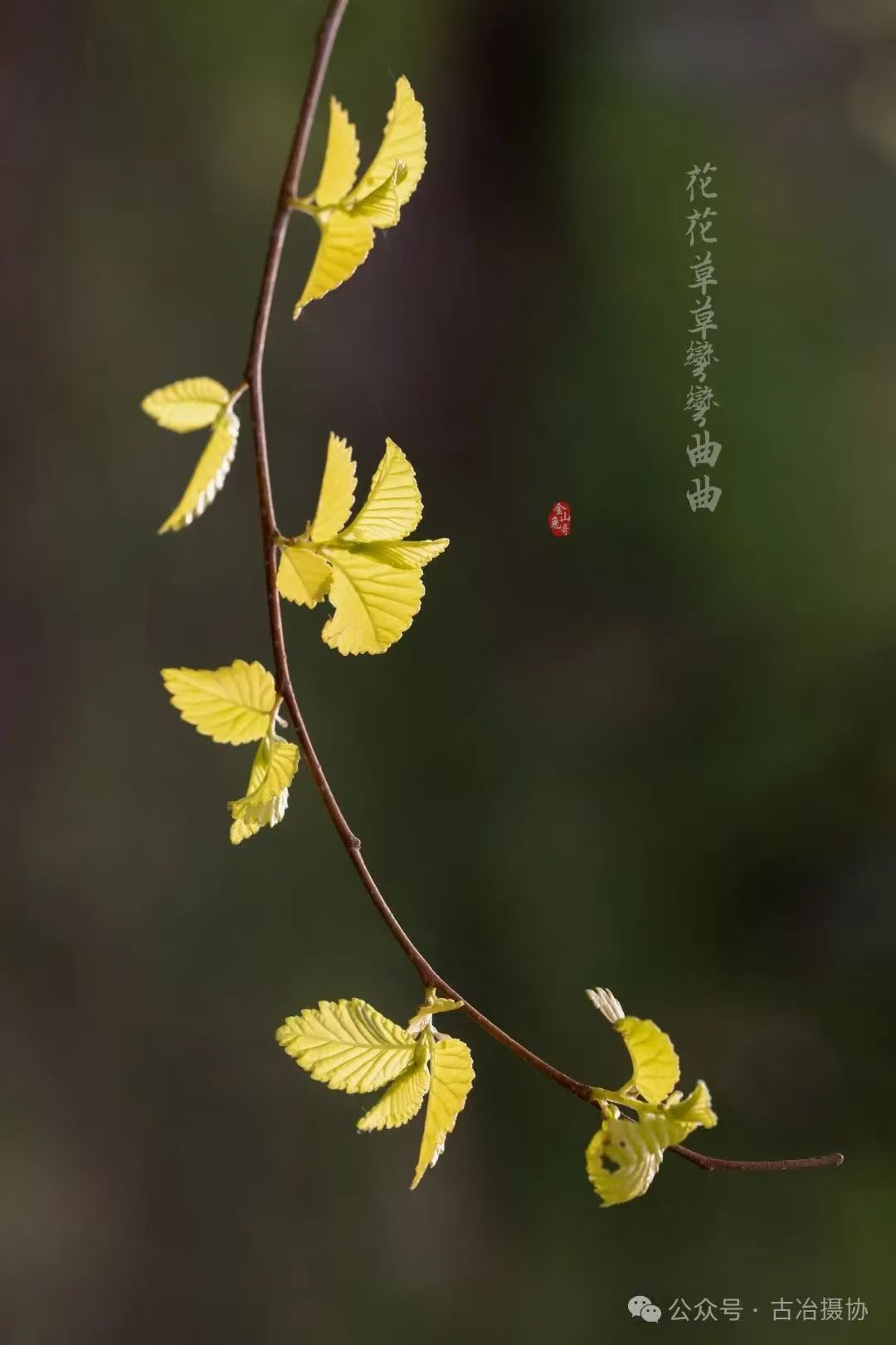 4d19046cee81e3e263f4f511ec9c342.jpg
