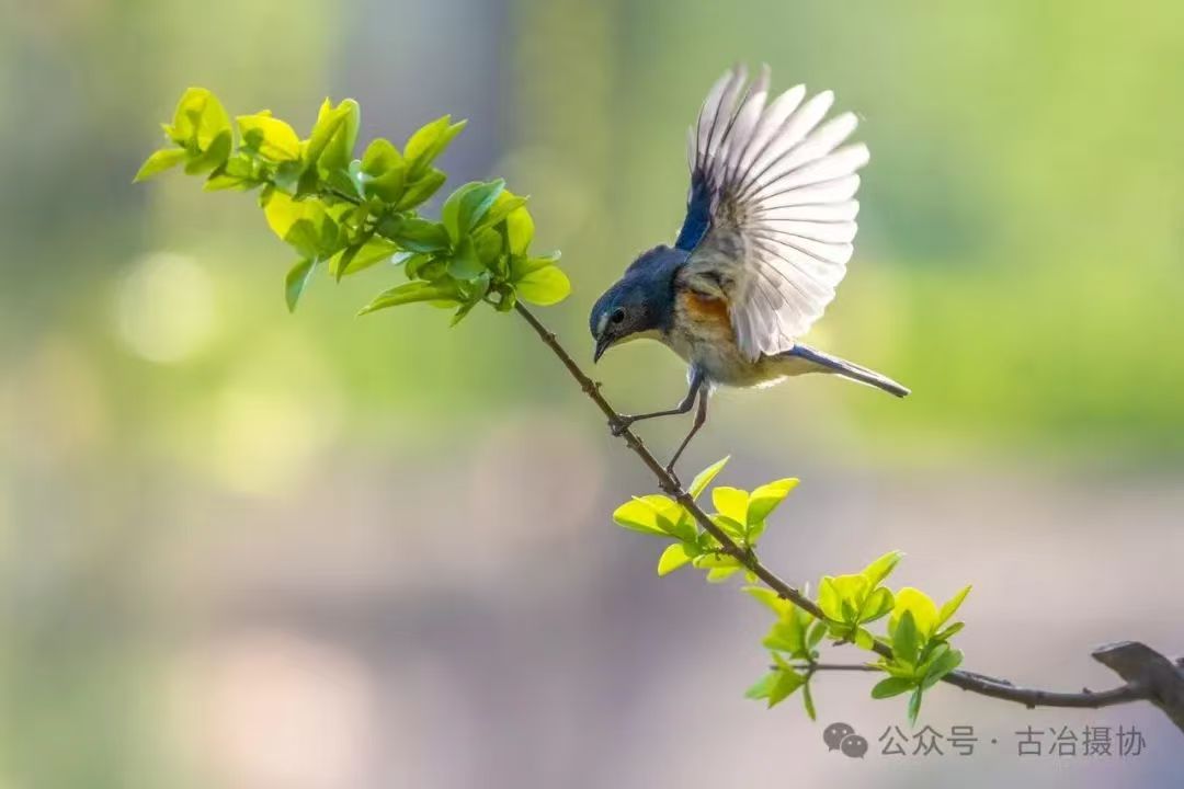 36ff42a27e2665da44dbf6842c39e84.jpg