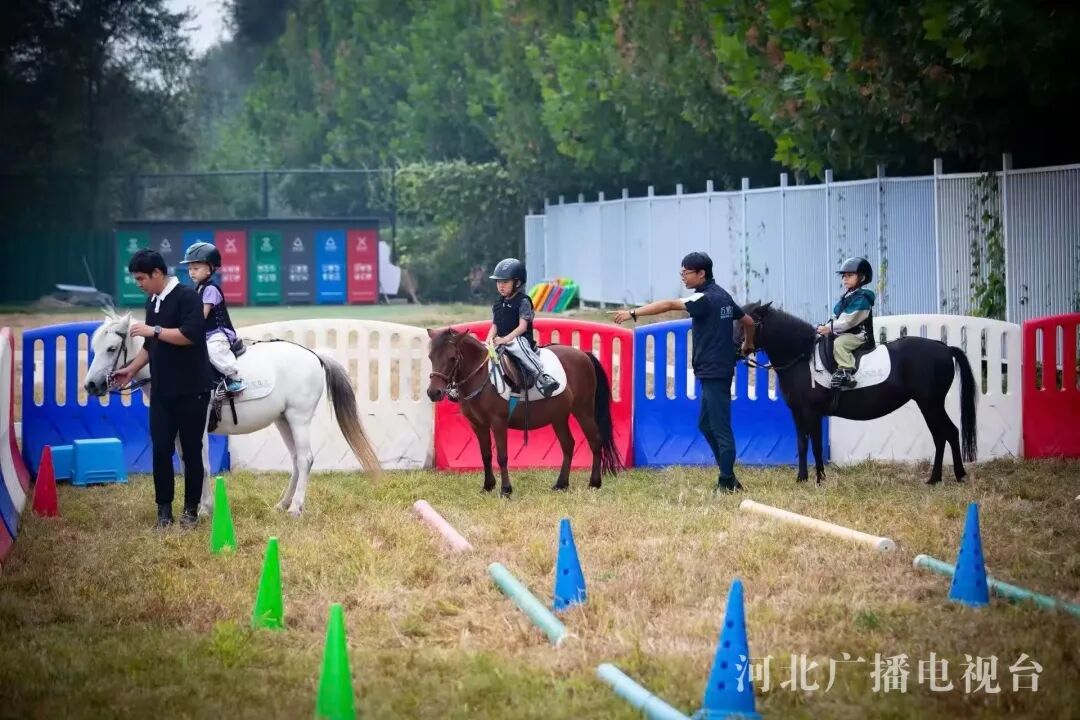 202511191763513496400367.jpg 微信图片_2025-11-19_085002_606.jpg